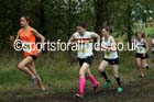 Senior womens Start Fitness North Eastern Harrier League, Tanfield, County Durham. Photo: David T. Hewitson/Sports for All Pics